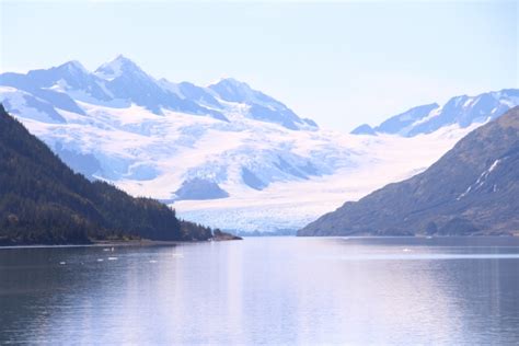 アラスカ 州 シャチ に対する画像結果