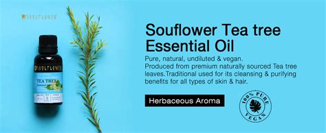 Buy Soulflower Tea Tree Essential Oil for Skin, Hair, Face, Acne Care ...