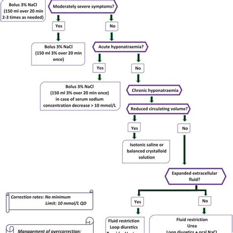 Hypernatremia Algorithm 的图像结果
