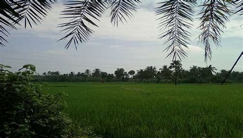 Konaseema To Discover The Beauty And Charm Of Andhra In 2026