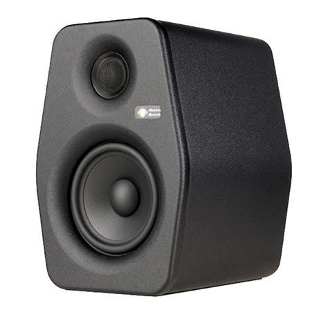 Monkey Banana APE 5 Active Installation Monitor Speaker – BAJAAO.COM