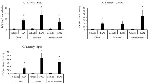 Diet Significantly Influences the Immunopathology and Severity of ...