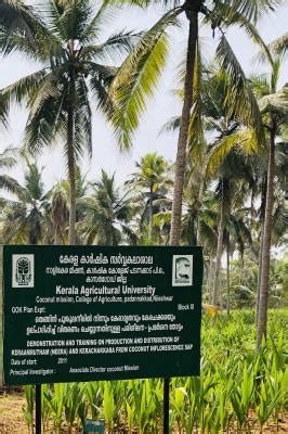 Department of Genetics & Plant Breeding | Kerala Agricultural University