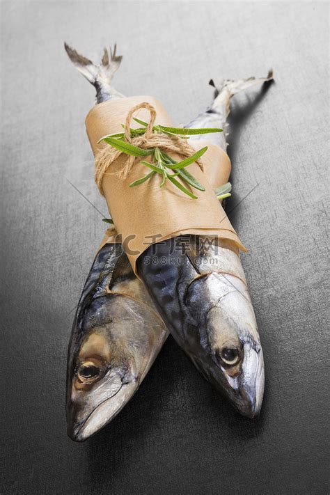 菜市场鱼档里最常卖的几种鱼叫什么鱼？_百度知道