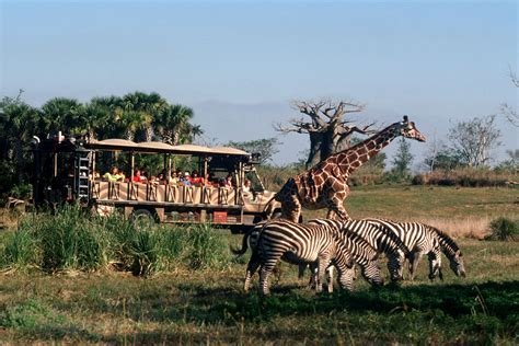 Top 10 Attractions at Disney World's Animal Kingdom