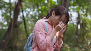Allergic Rhinitis or Just a Cold? Know the Real Reason Behind Frequent ...