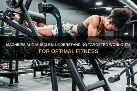 Image result for Muscles et Machines