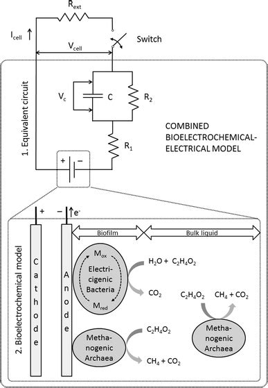 Image result for CBE Model