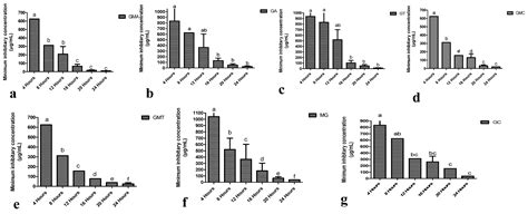 Sodium Alginate-Based MgO Nanoparticles Coupled Antibiotics as Safe and ...