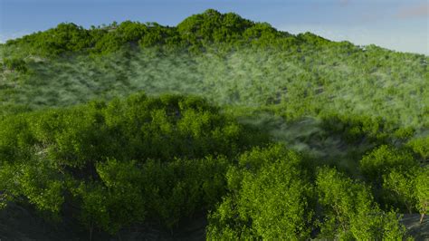 Image result for Blender Tutorial for Animation Forest