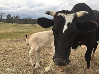 Farm Money 101 eBook : DeWitt, John: Amazon.in: Kindle Store