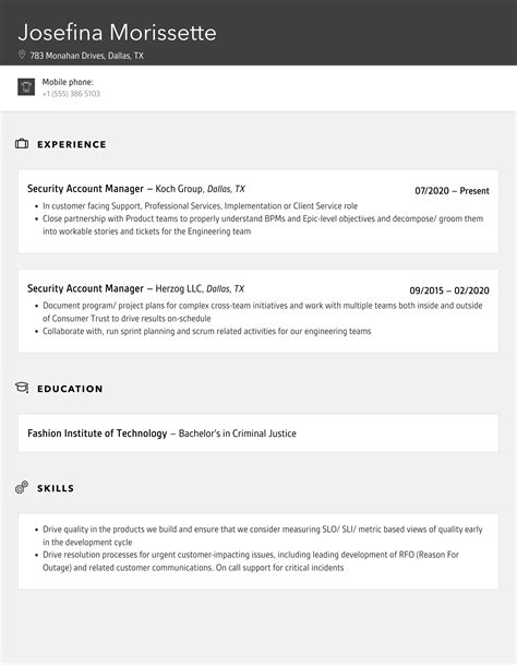Security Account Manager Resume Samples | Velvet Jobs