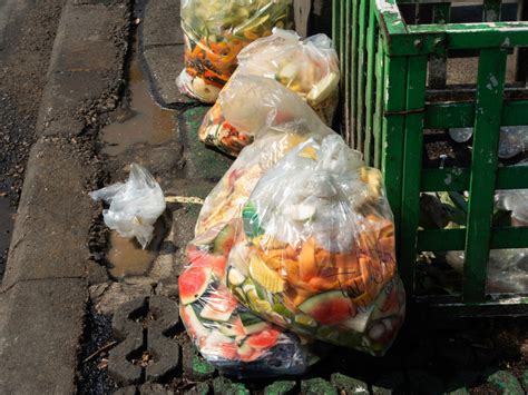 Food Waste 的图像结果