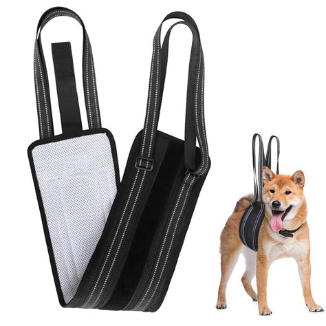 Qpets® Dog Lift Harness Rear Leg Use Lifting Harness for Dog Rear Legs ...