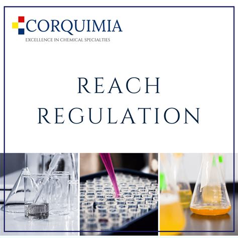 REACH REGULATION - Corquimia