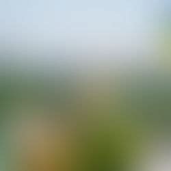 Image result for Hello Neighbor Animation