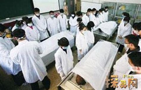 解剖过上千具尸体的女法医，让真相大白无愧于心_中国人的一天_腾讯网