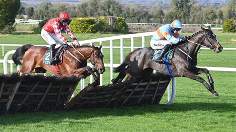 My Mate Mozzie: Gavin Cromwell aiming at Royal Bond test at Fairyhouse ...