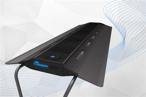 Lights – Chennai Marine Aquarium