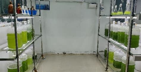 Ramanathapuram Centre for Sustainable Aquaculture - Home