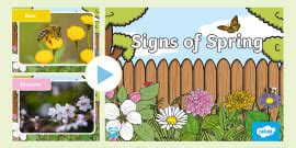 Image result for KS1 Signs of Spring
