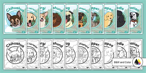 Printable Posters of Dog Breeds for Kids | Twinkl USA