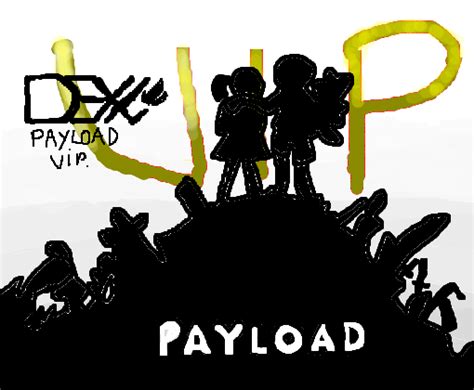 Image result for Payload VIP