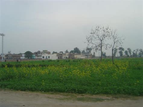 Vehari - JungleKey.in Image