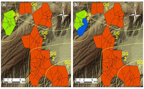 Ecological and Biogeographical Imprints in a Beech Glacial Refugium