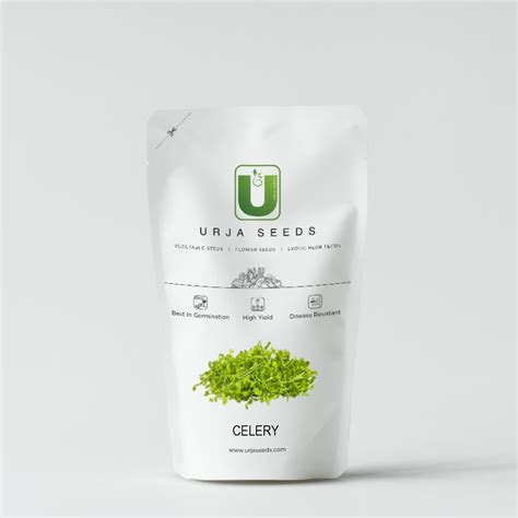 Celery -Micro green Seeds – Urja Seeds
