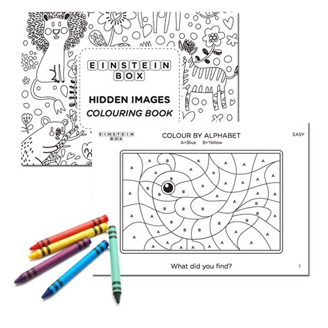 Einstein Box - 3-4 Years-3c