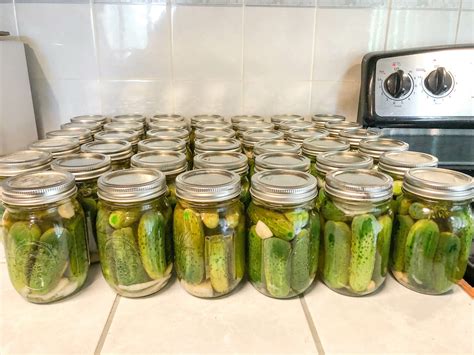 Homemade Dill Pickles: Great Grandma's Canning Recipe - Whole Kitchen Sink