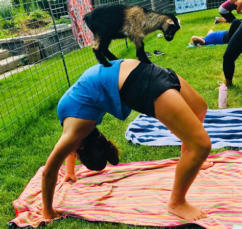 16 Best & Fun Things To Do In Roxbury, NY (2026) - Chief Tourist