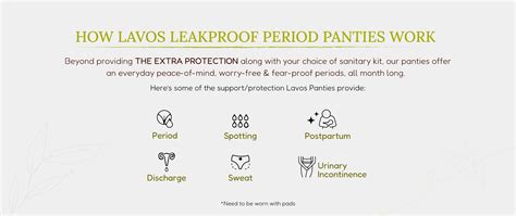 Period Panty
