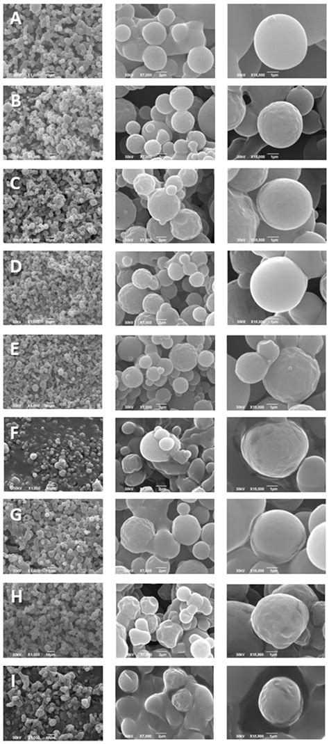 Development of Cyclodextrin-Based Mono and Dual Encapsulated Powders by ...