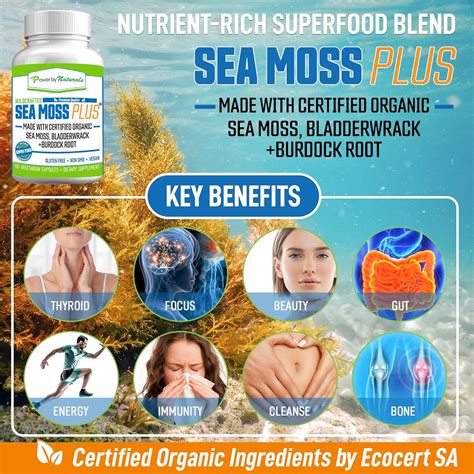 Power By Naturals Organic Sea Moss Capsules Plus India | Ubuy