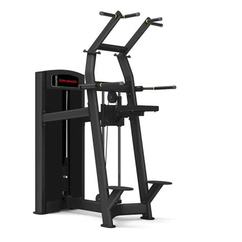 SIG-16A Assisted Dip/Chinning (Knees on)