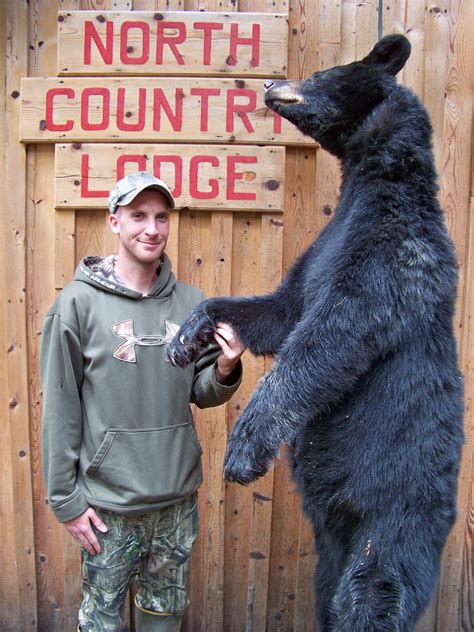 Bear Hunt Gallery 2018 – North Country Lodge