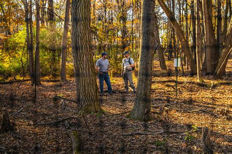 Image result for Deer Exploding