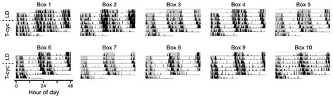 LocoBox: Modular Hardware and Open-Source Software for Circadian ...