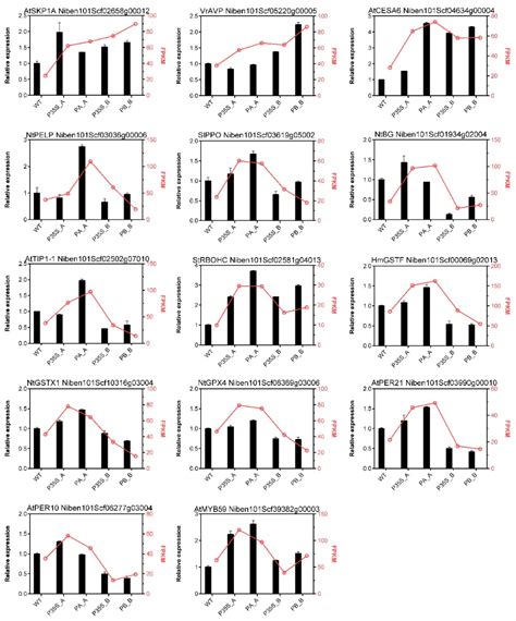 Functional and Transcriptome Analysis Reveal Specific Roles of ...