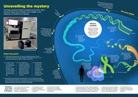 The life-saving sequence | Fountain Ink