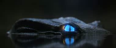 Guia de tamanhos: Tabela de medidas para produtos Lacoste