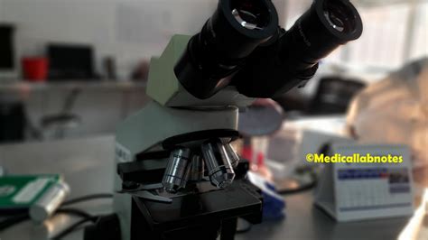Image result for Simple Microscope and Compound