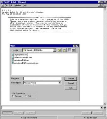 Image result for Paup 4 Example of Data File