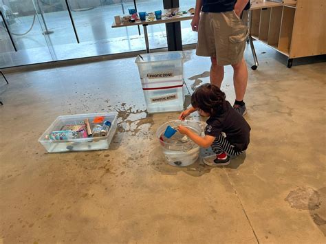 Science Experiments Using Sensory 的图像结果