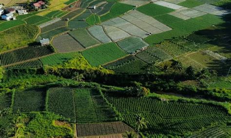 HMDA to Auction 93 Prime Plots in September