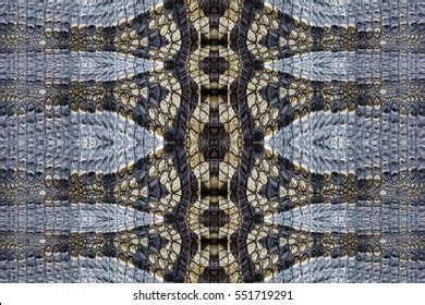 Image result for O2C P2P F2F