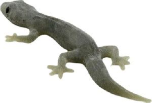 AMACO US126 Chipkali Prank Toys Lizard Gag Toy Price in India - Buy ...