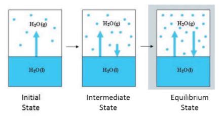 State of equilibrium (check) — lesson. Science State Board, Class 10.